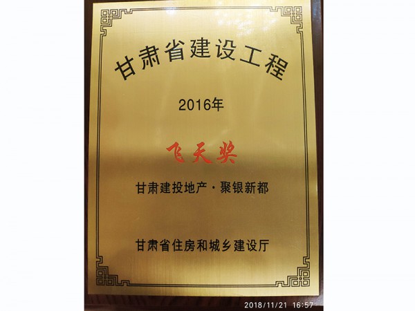 甘肅省建設工程2016年飛天獎